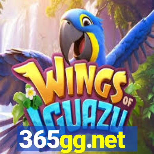 365gg.net