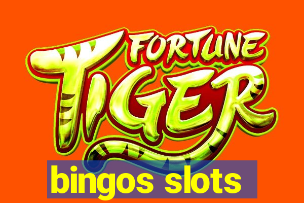 bingos slots