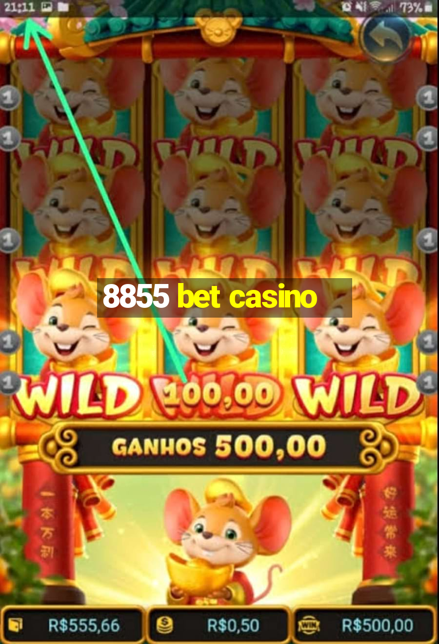 8855 bet casino