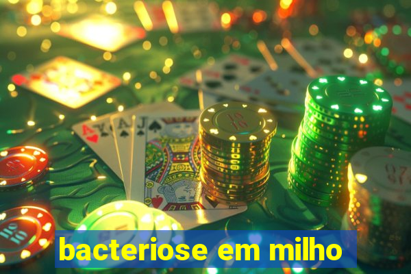 bacteriose em milho