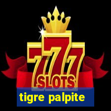 tigre palpite