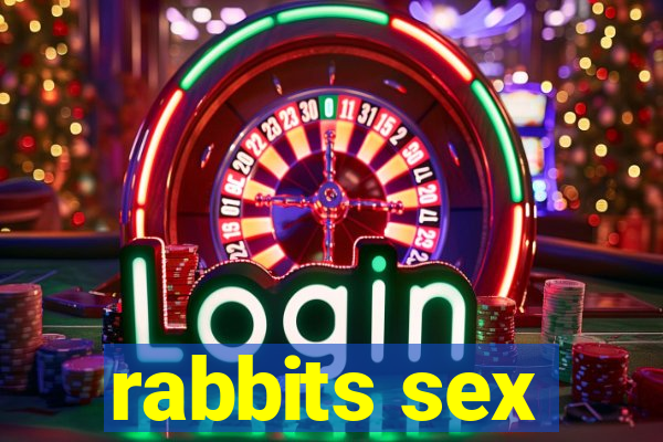 rabbits sex