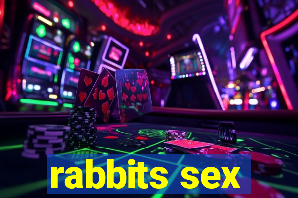 rabbits sex