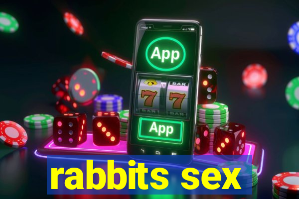 rabbits sex