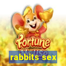 rabbits sex