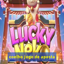 coelho jogo de aposta