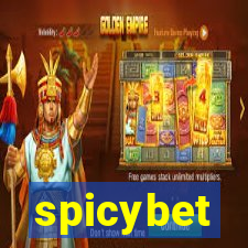 spicybet