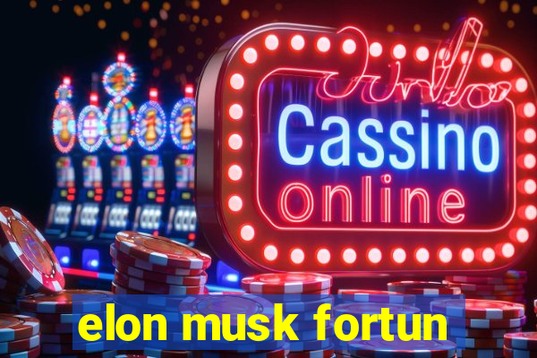 elon musk fortun