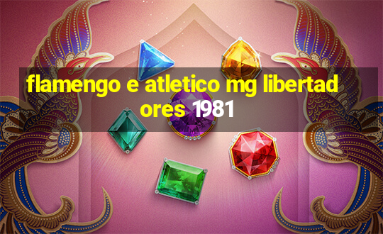 flamengo e atletico mg libertadores 1981