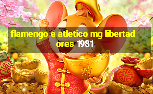 flamengo e atletico mg libertadores 1981