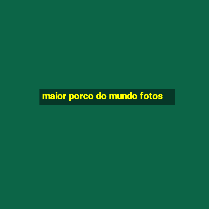 maior porco do mundo fotos