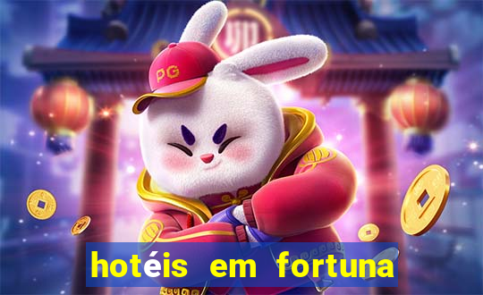 hotéis em fortuna de minas