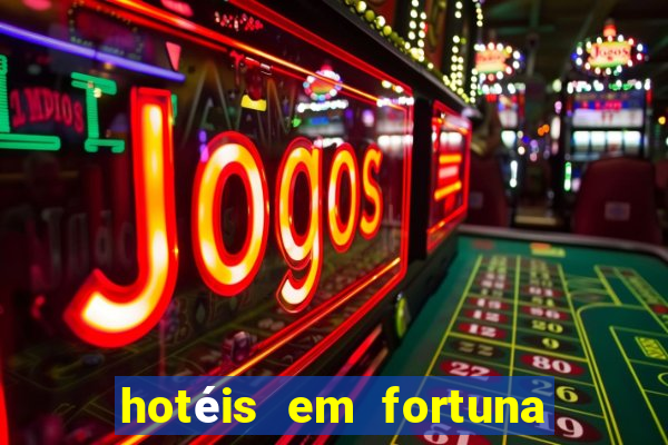 hotéis em fortuna de minas