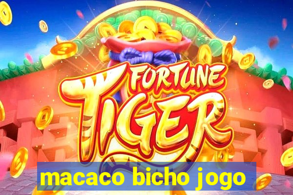 macaco bicho jogo