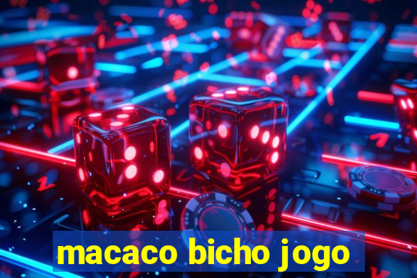 macaco bicho jogo