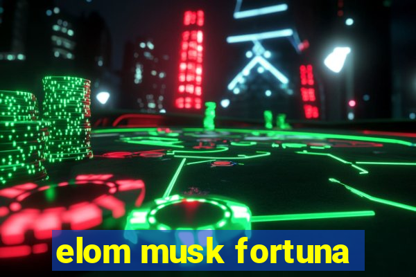 elom musk fortuna