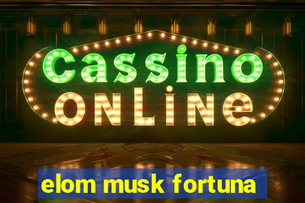 elom musk fortuna