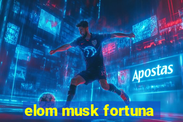 elom musk fortuna