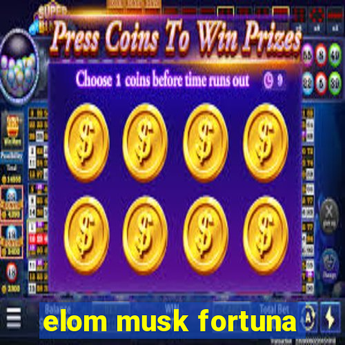 elom musk fortuna