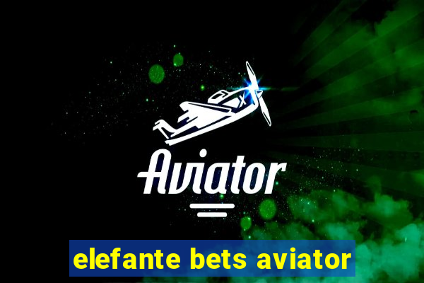 elefante bets aviator