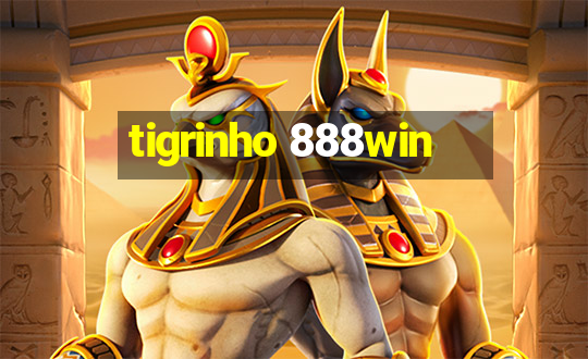 tigrinho 888win