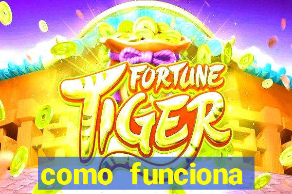 como funciona tarifa super bingo msc