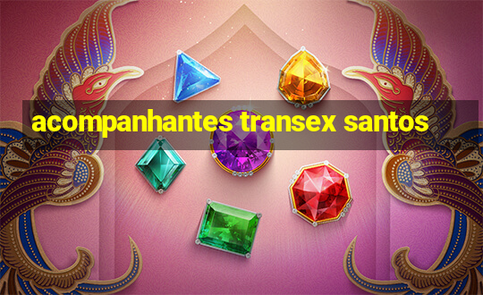 acompanhantes transex santos