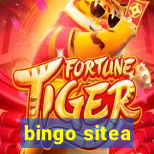 bingo sitea