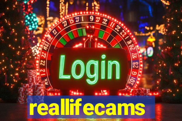 reallifecams