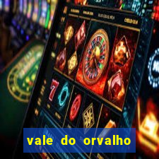 vale do orvalho stardew valley