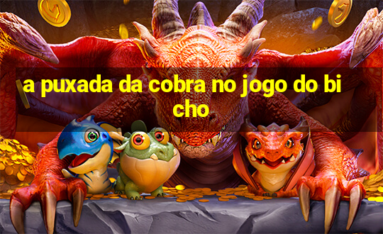 a puxada da cobra no jogo do bicho