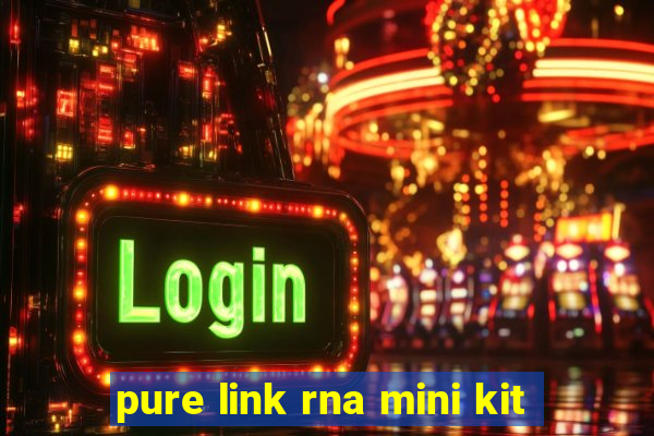 pure link rna mini kit