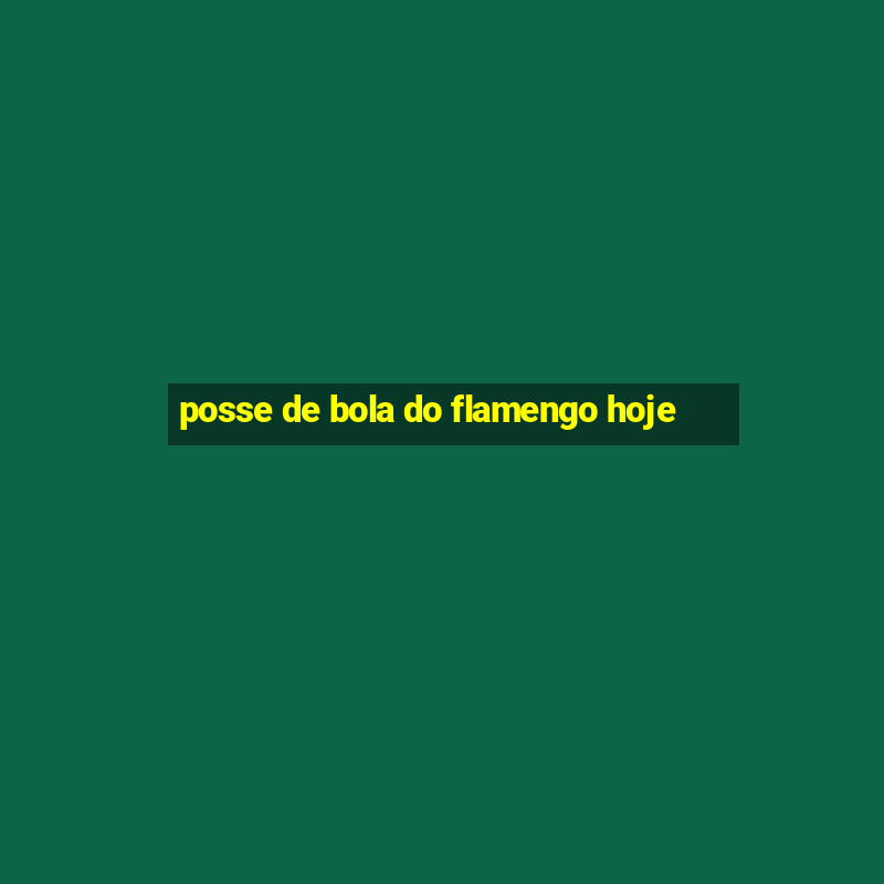 posse de bola do flamengo hoje