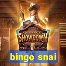 bingo snai