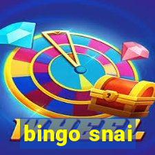 bingo snai