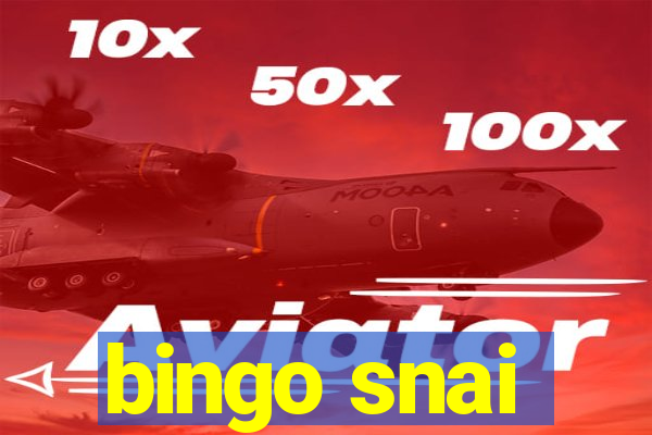 bingo snai