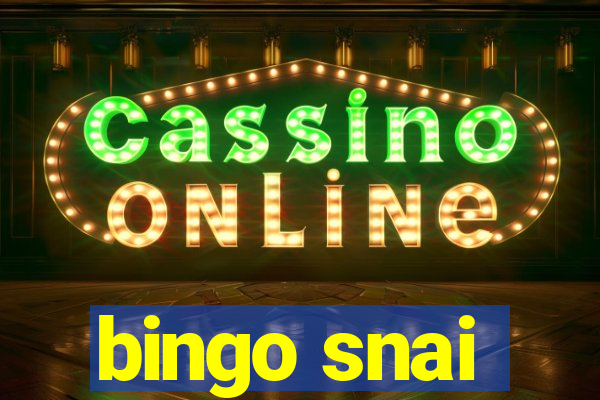 bingo snai