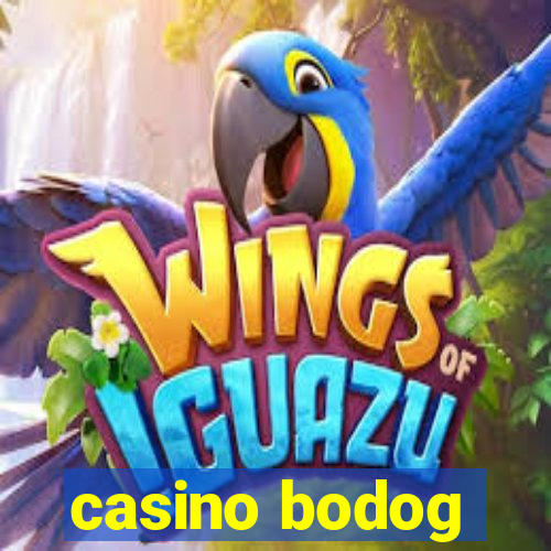 casino bodog