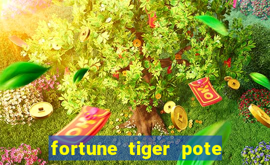 fortune tiger pote de ouro completo