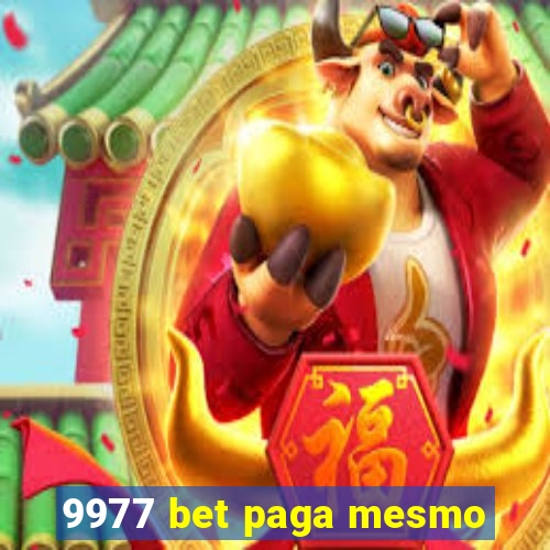 9977 bet paga mesmo