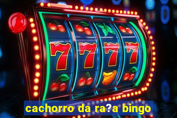 cachorro da ra?a bingo