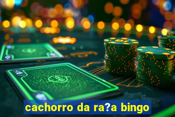 cachorro da ra?a bingo