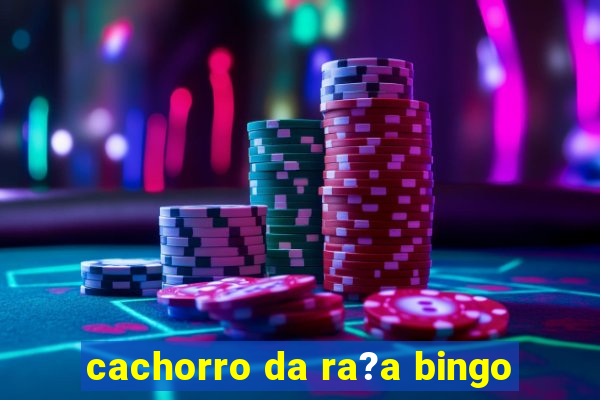 cachorro da ra?a bingo