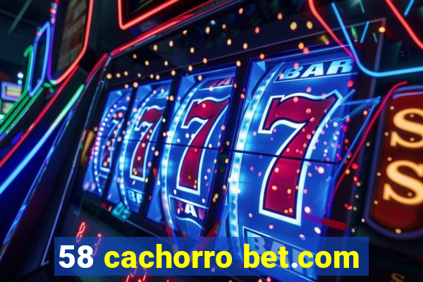 58 cachorro bet.com