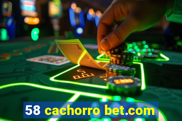 58 cachorro bet.com