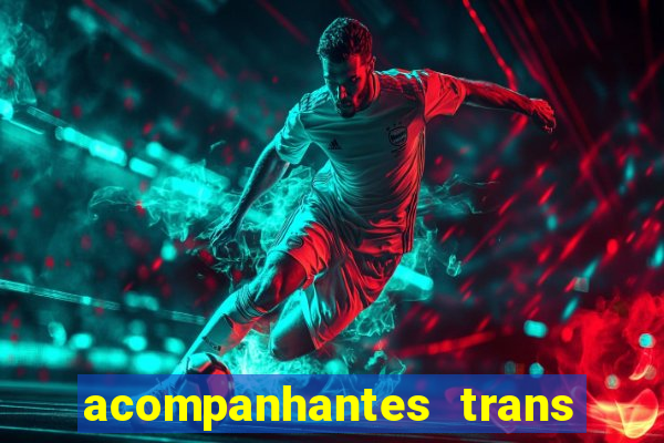 acompanhantes trans em santos