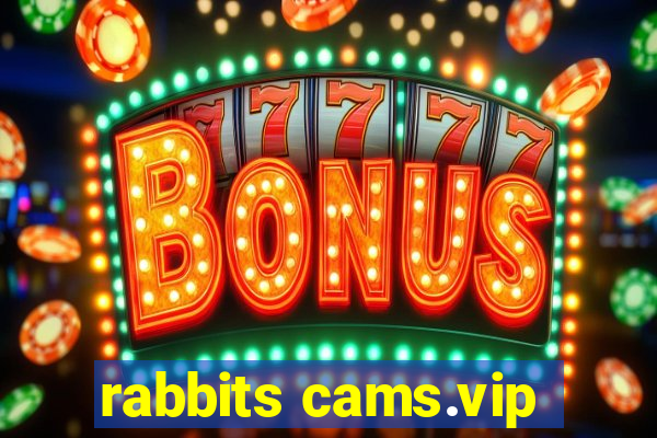 rabbits cams.vip