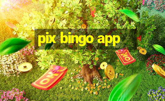 pix bingo app