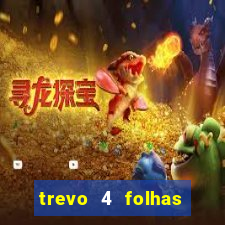 trevo 4 folhas significado espiritual