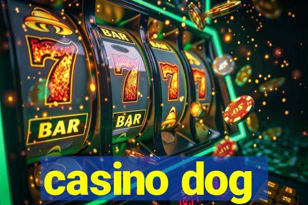 casino dog